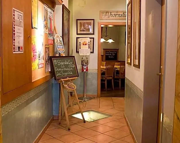 Schwabl Wirt Hotel 3*